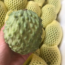规格齐全释迦超高性价比下单秒发