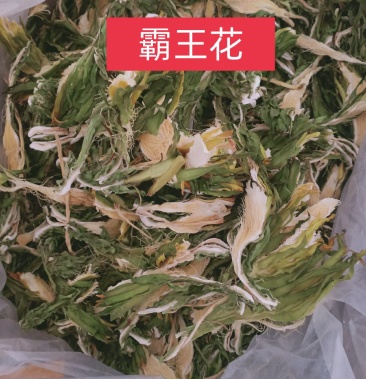 霸王花霸王花无硫新货质量保证经营各种中药材欢迎咨询选