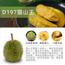 【顺丰冷链】马来西亚D197猫山王榴莲新鲜液氮冷冻进口水
