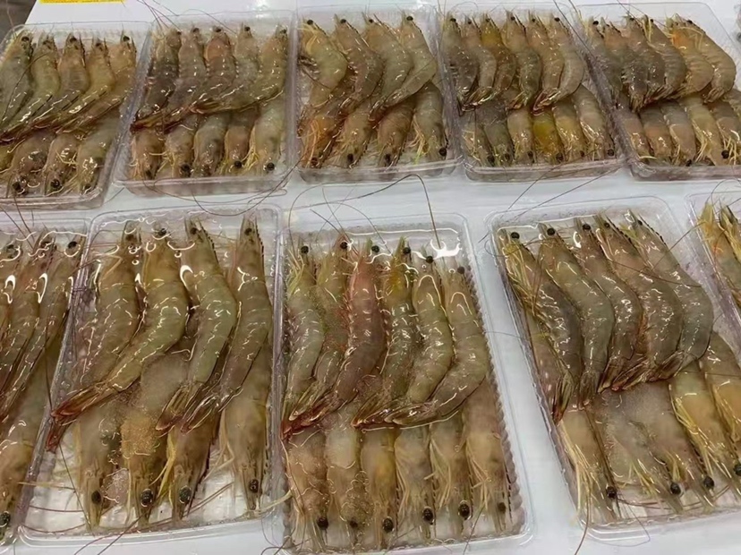 虾子在市场中新鲜陈列
