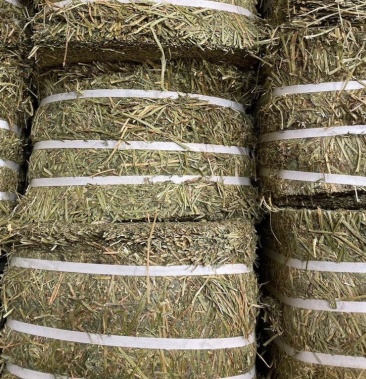 [苜蓿草批发]美国小捆优级苜蓿草价格3360.00元/吨 - 一亩田
