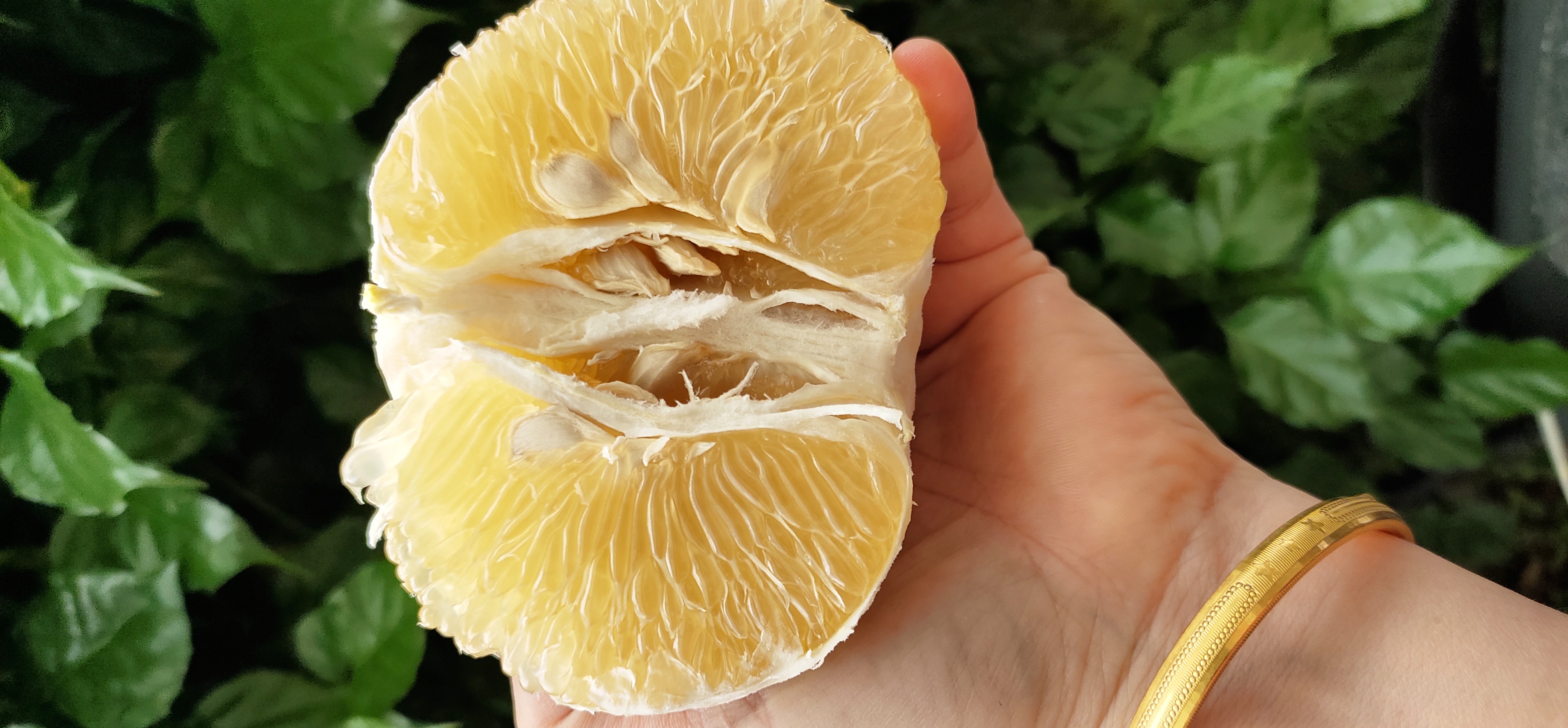 葡萄柚果皮特写展示其纹理与颜色 葡萄柚果皮特写