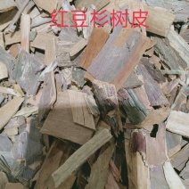 红豆杉，红豆杉树皮质量保证，经营各种中药材欢迎咨询选购！