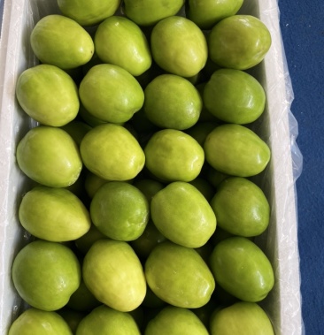 云南元谋香甜脆嫩牛奶大青枣