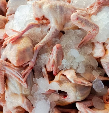 [鸽肉批发]冰鲜乳鸽价格11.00元/斤 - 一亩田