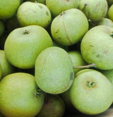 [酸梨批发]酸梨,安梨价格0.80元/斤 - 一亩田