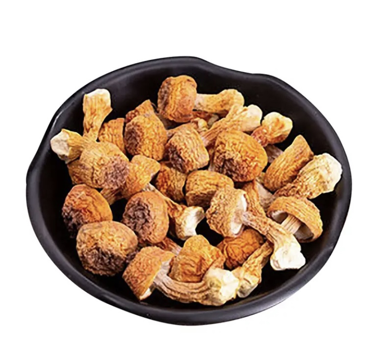 姬松茸炒香菇成品图