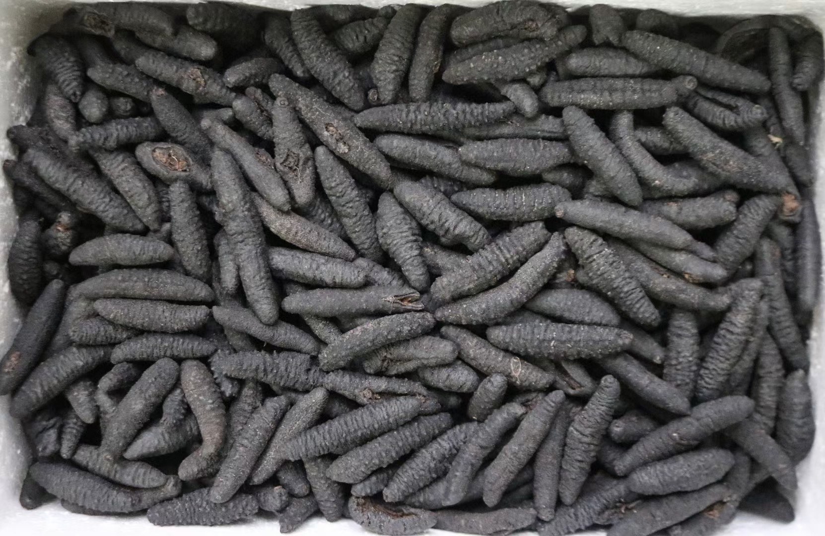 海参炖黑豆炖煮过程图