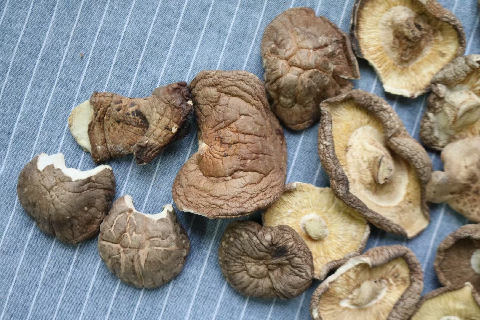 香菇与平菇干品特写对比图，左侧为深褐色伞盖厚实、菌褶紧密的干香菇，右侧为灰白色薄片状、边缘微卷的干平菇，两者并排置于竹制托盘上，背景为浅木纹台面