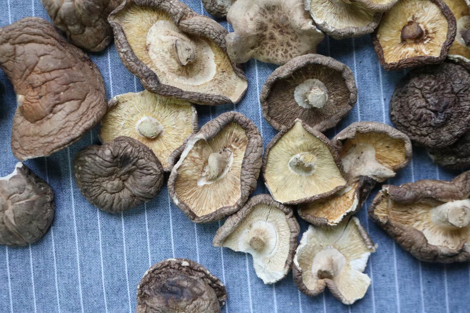 干香菇泡发过程图