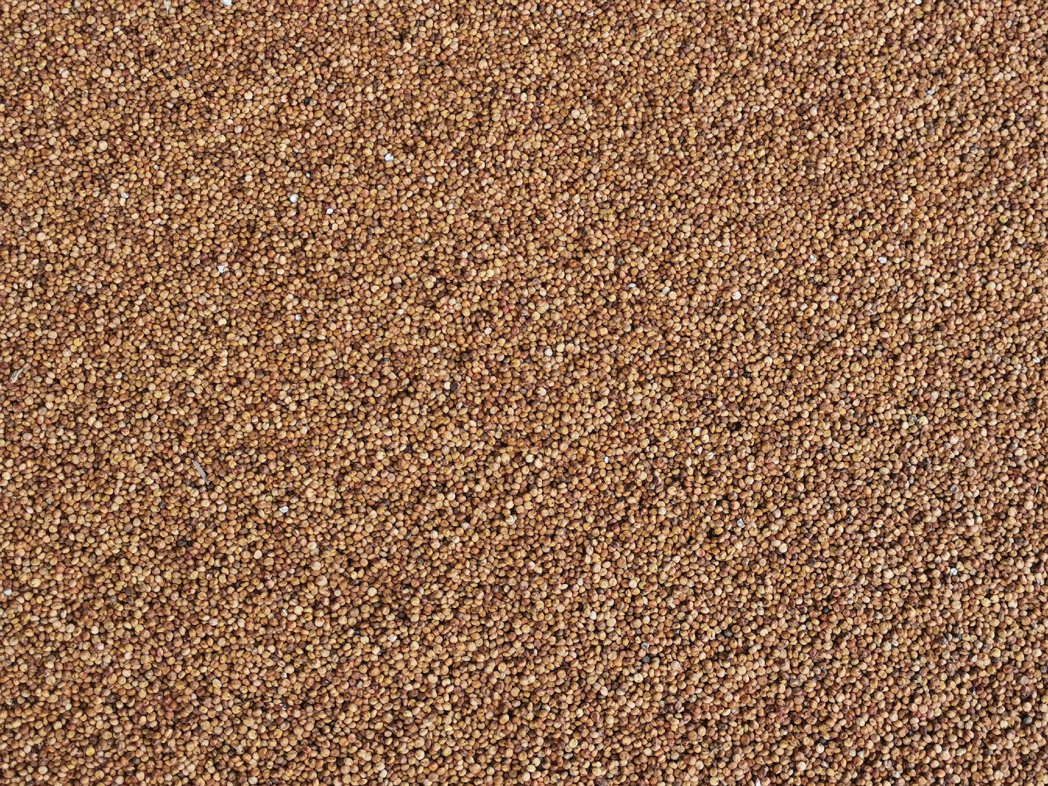 粗粮与细粮对比图