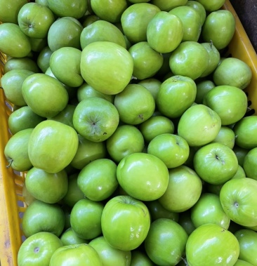 [青枣批发]云南青枣价格49.00元/件 - 一亩田