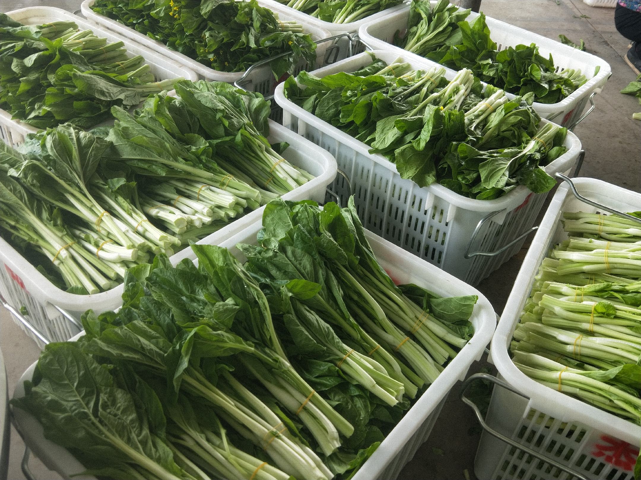 市场摊位上的多种长杆蔬菜陈列