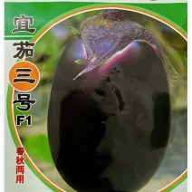 宜茄二号茄子种子，果皮紫红色,光亮,果肉淡绿色,细嫩,
