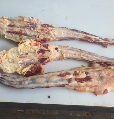 国产整根牛尾需要的提前预定