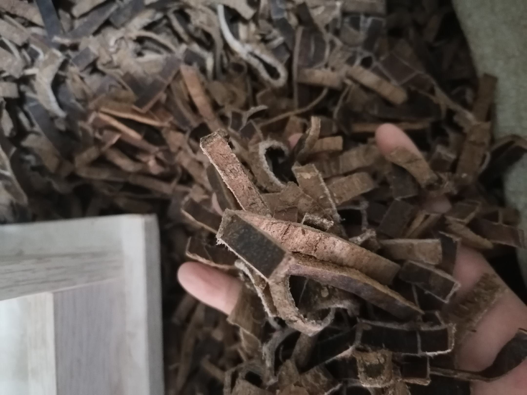 高清微距摄影:左侧为湖南慈利杜仲(断面银白色胶丝密集);中间为山西浑源黄芪(淡黄棕色,菊花心明显,质地坚韧);右侧为五年新会陈皮(棕褐色,油室饱满,透光可见金黄色油点) 杜仲黄芪陈皮三味道地药材实物对比图