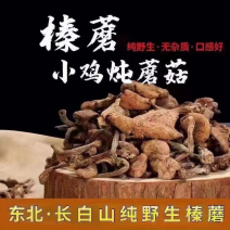东北嘎嘎香的小鸡炖蘑菇——榛蘑