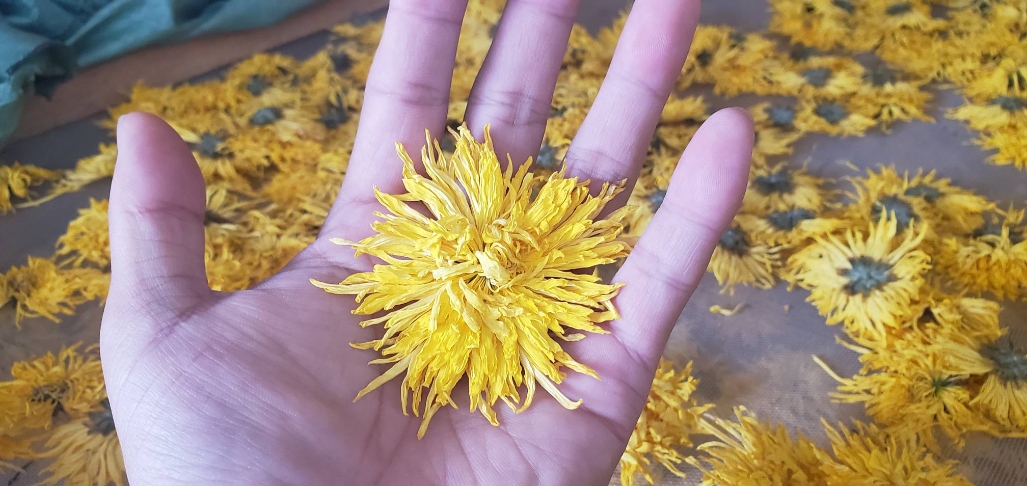 野菊花枝干成品应用场景图