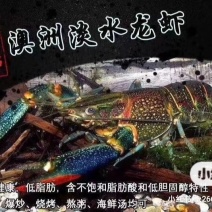 龙虾