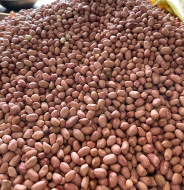 2021年精品干花生米.鲁花白沙天府,都是过筛的新货