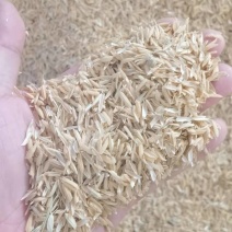 大量稻壳，酒厂专用，饲料厂专用