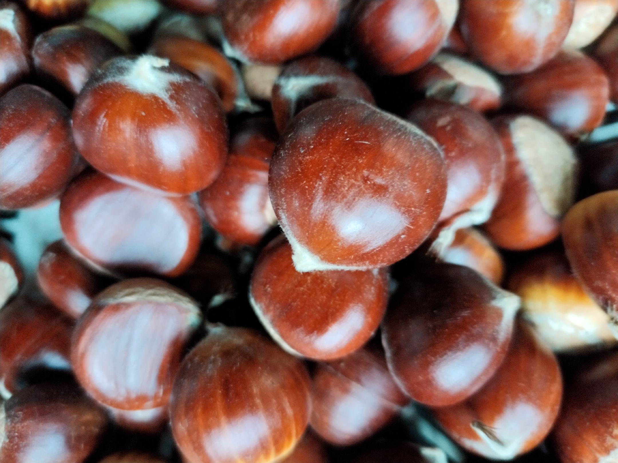 糖炒油栗与清蒸锥栗对比图