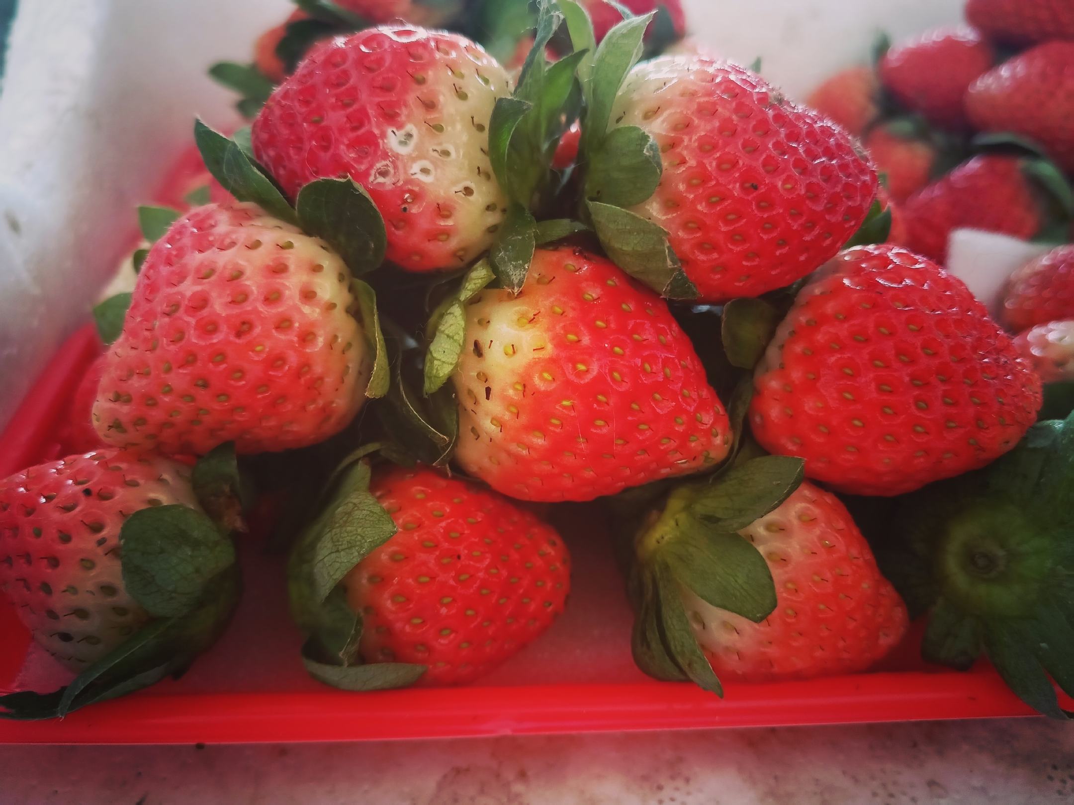 奶油草莓特写图