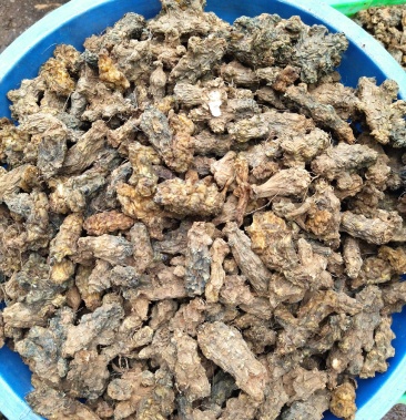 烘干洋姜洋姜干