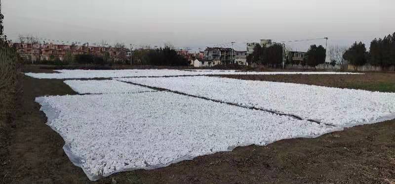 黑芝麻加工生产线