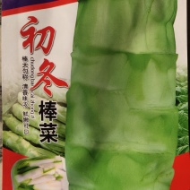 棒菜，人工单株远育而成棒大根皮青白色亩产2500斤左右。