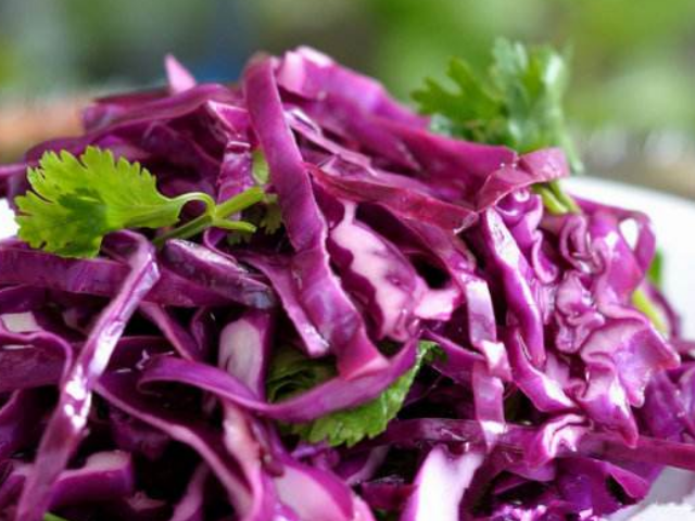 红色羽衣甘蓝制作的健康沙拉