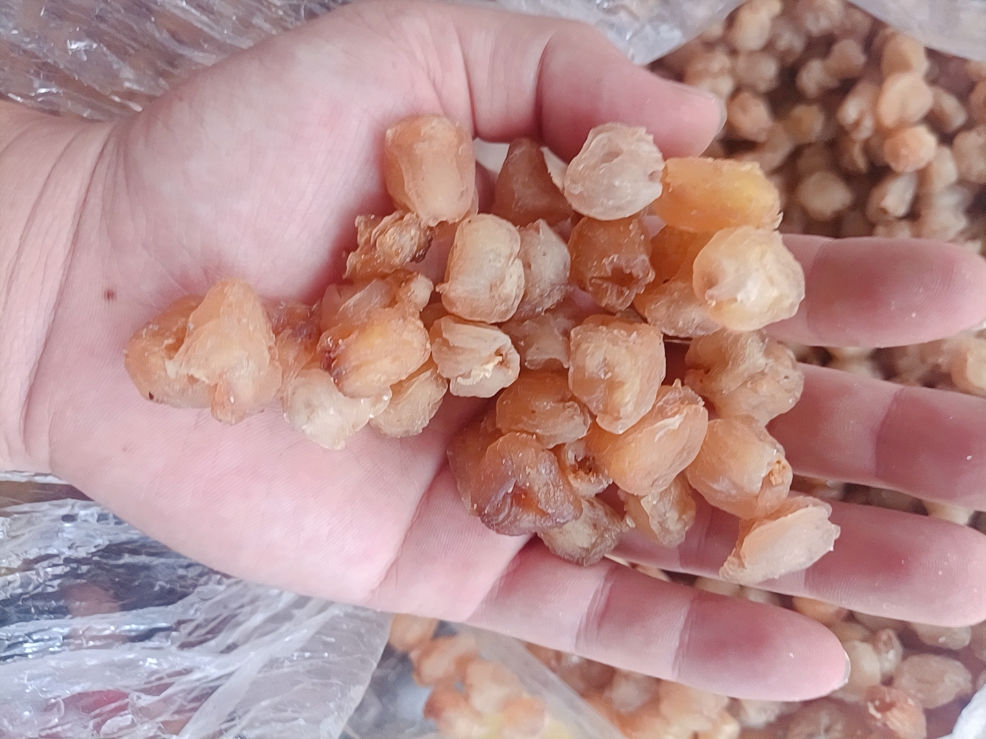 木质展台上陈列多种甜龙眼衍生产品:左侧为真空包装的新鲜龙眼果穗,中间为玻璃罐装的透明龙眼蜜,右侧为褐色的传统龙眼干,后方还有印有品牌LOGO的红色中秋礼盒,背景虚化处可见现代食品加工厂的操作间 甜龙眼加工产品展示台