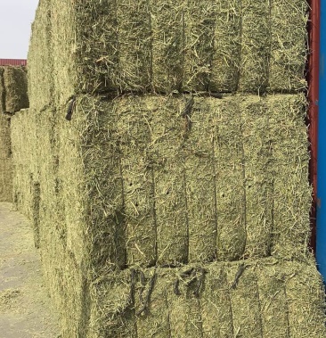 [苜蓿草批发]西班牙苜蓿草价格2600.00元/吨 - 一亩田