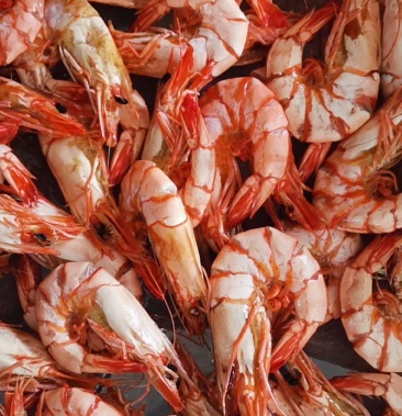 本港大虾薄壳虾鲜甜适口