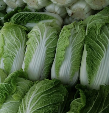 玲珑黄白菜,黄心大白菜