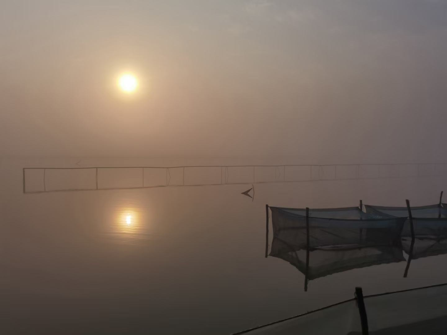 大闸蟹饲料投喂现场图