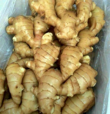 立即订购张瑜个人等级:2级28访客1沟通商家其他商品生姜17人看过06