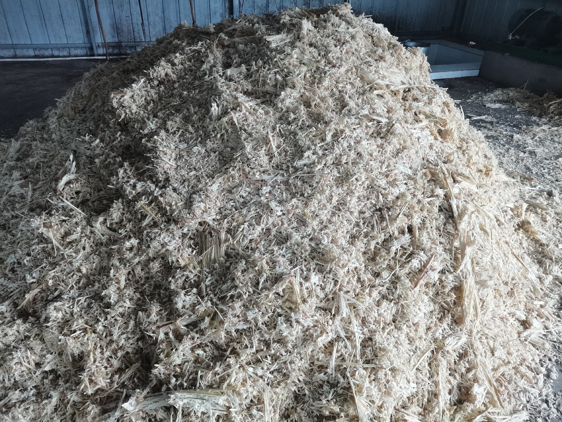 甘蔗渣纸的未来发展趋势