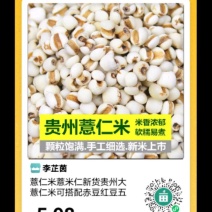薏仁一米采够商