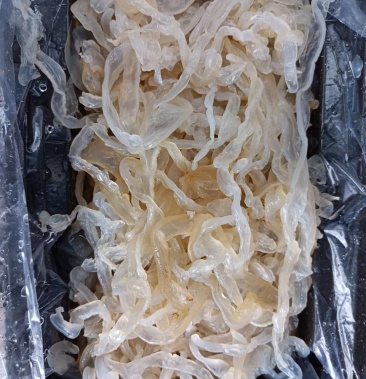 还河北沙蜇丝,颜色白质量好