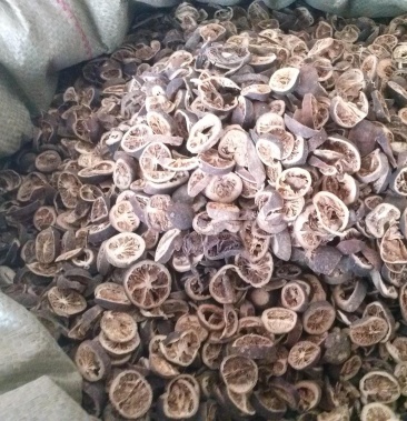 青皮小青皮中药材批发青皮产地直销质量保证