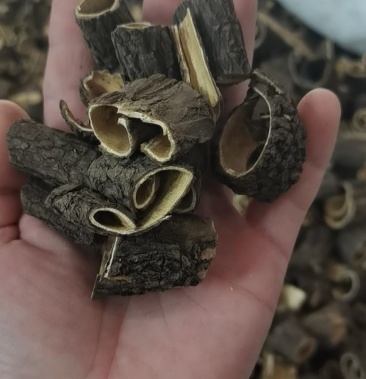 刺五加皮 正品刺五加皮 冷背药材齐全不满意可退换货