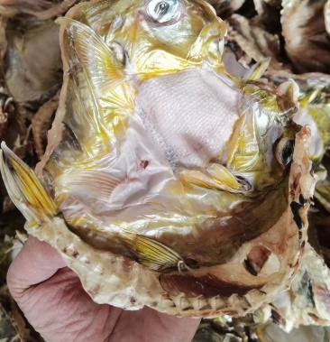 [鱼干批发]河豚鱼干(河鲀鱼干)煲汤炖菜的不二之选 陆丰甲子港特产