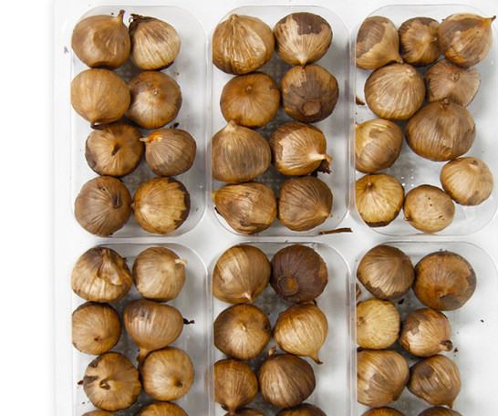 黑蒜发酵过程对比图