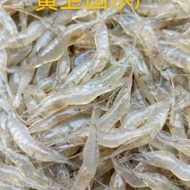 鲜活米虾优质河虾精品草虾