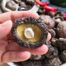 农家新货香菇级特生小香菇干货蘑菇五斤包邮日晒无根肉厚干野