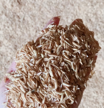 压缩稻壳谷壳打包稻壳除尘过筛稻壳新鲜加工