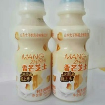 香芒芝士味乳酸菌独特包装价格实惠！