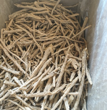 野生地骨皮各种规格按需挑拣特点去骨干净过筛细心