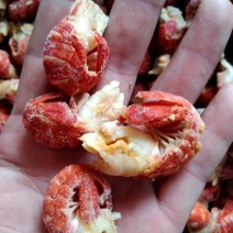 精选干冰虾尾龙虾尾